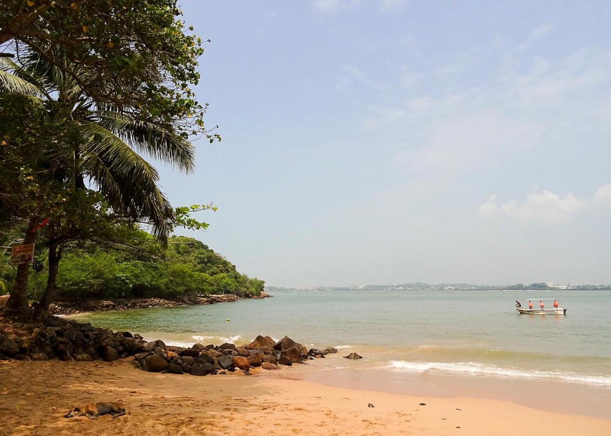 Pineview Unawatuna Exterior foto